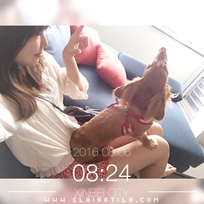 20251024-19vv0 20251024-19vv0