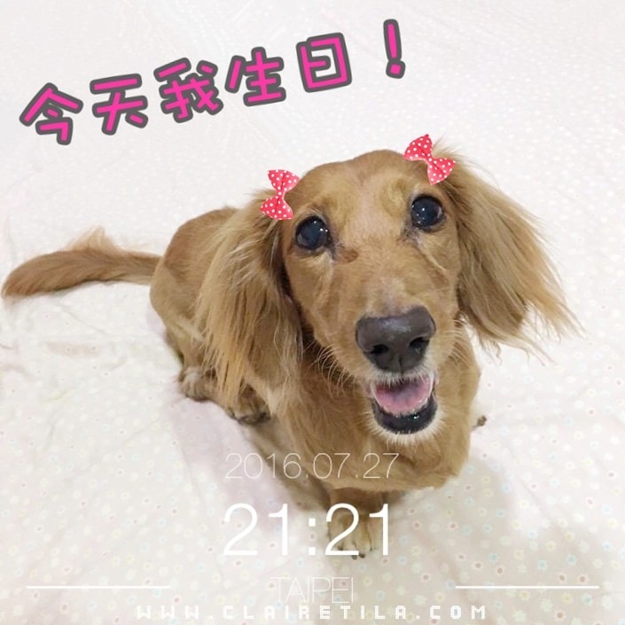 20251024-1ax91 20251024-1ax91