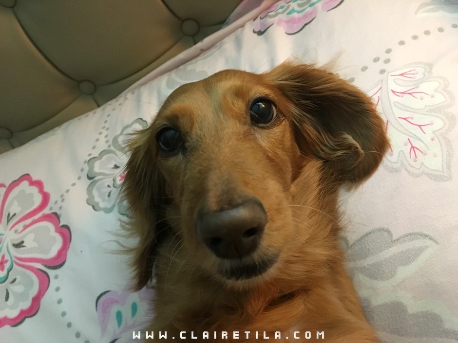 20251024-1dz03 20251024-1dz03