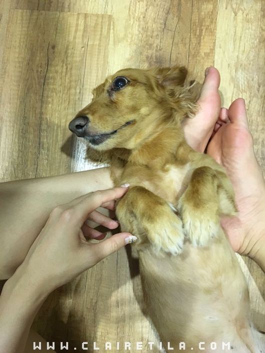 20251024-1famj 20251024-1famj