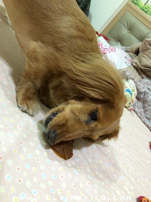 20251024-2mlh0 20251024-2mlh0