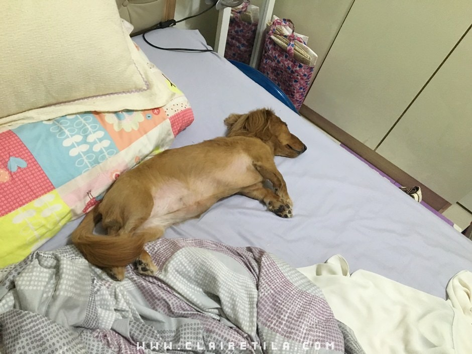 20251024-2v9dx 20251024-2v9dx