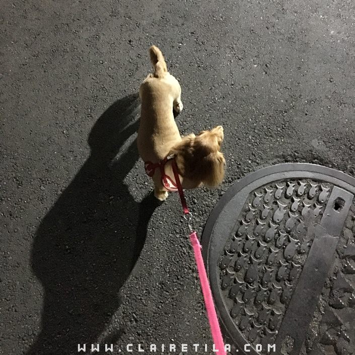 20251024-2xpvp 20251024-2xpvp