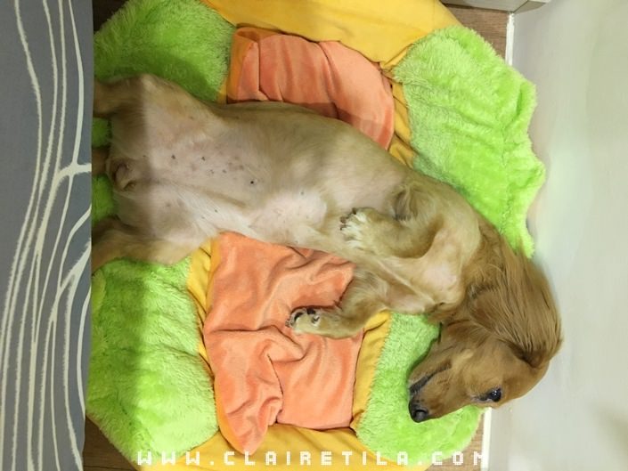 20251024-3aers 20251024-3aers