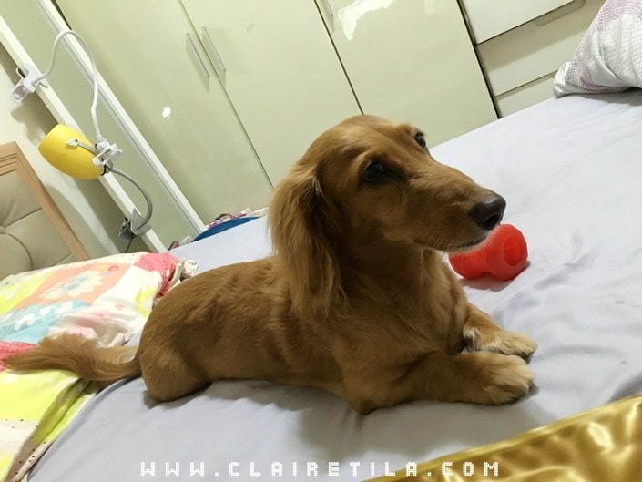 20251024-3g2gx 20251024-3g2gx