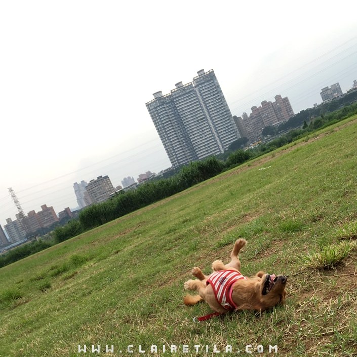 20251024-3lv5c 20251024-3lv5c