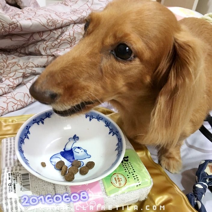 20251024-3opoa 20251024-3opoa