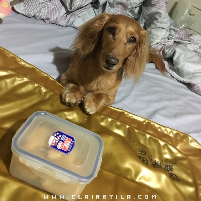 20251024-3osj9 20251024-3osj9