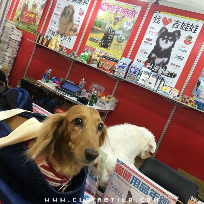 20251024-46skv 20251024-46skv