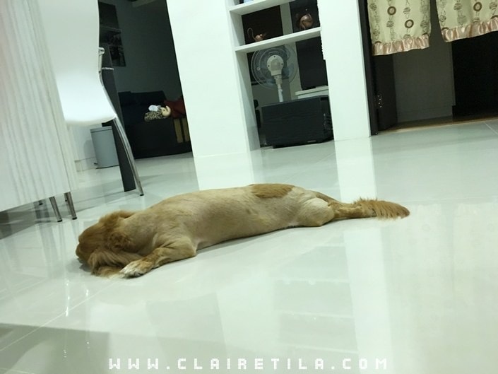 20251024-4p7xh 20251024-4p7xh