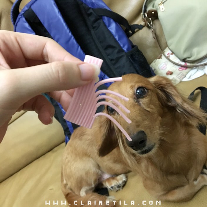 20251024-54odt 20251024-54odt