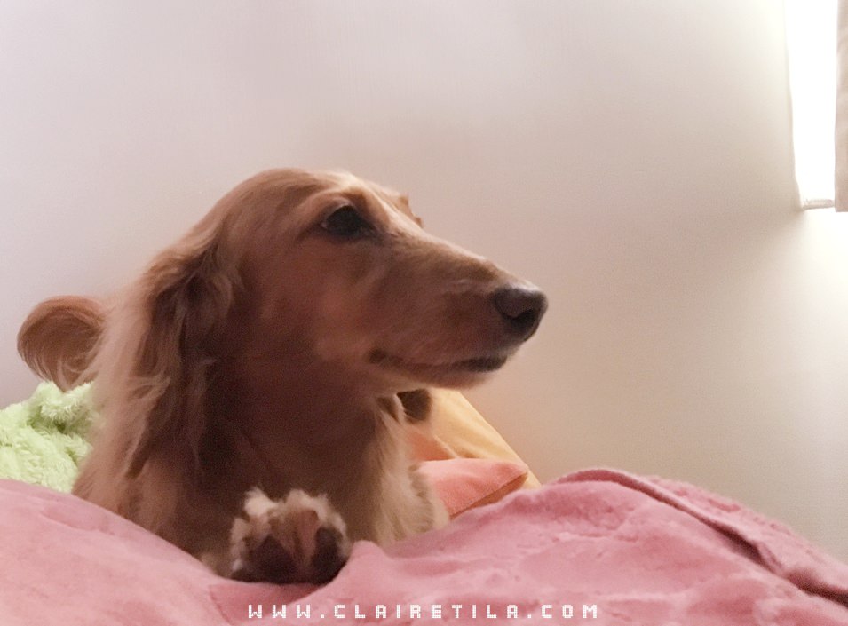 20251024-5m6j8 20251024-5m6j8