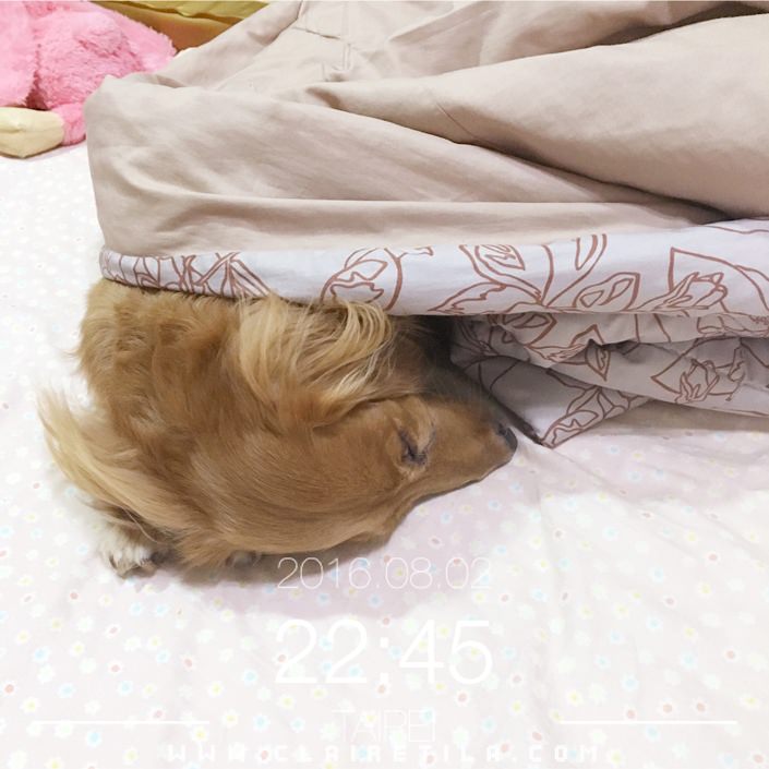 20251024-5o6ba 20251024-5o6ba