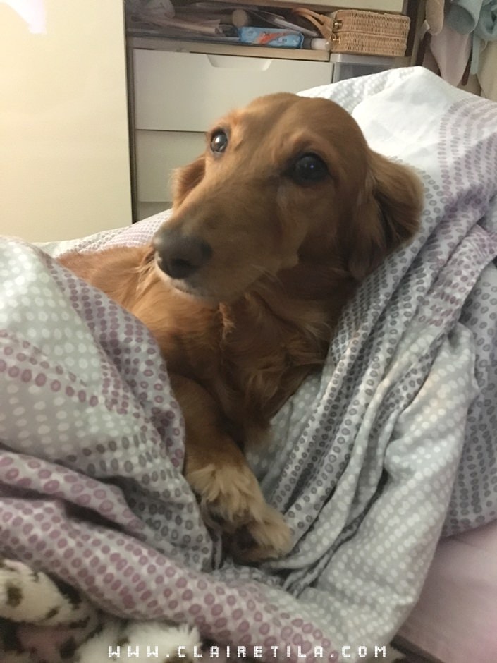 20251024-62t1v 20251024-62t1v