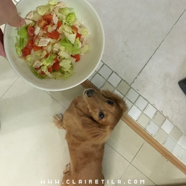 20251024-67dwn 20251024-67dwn