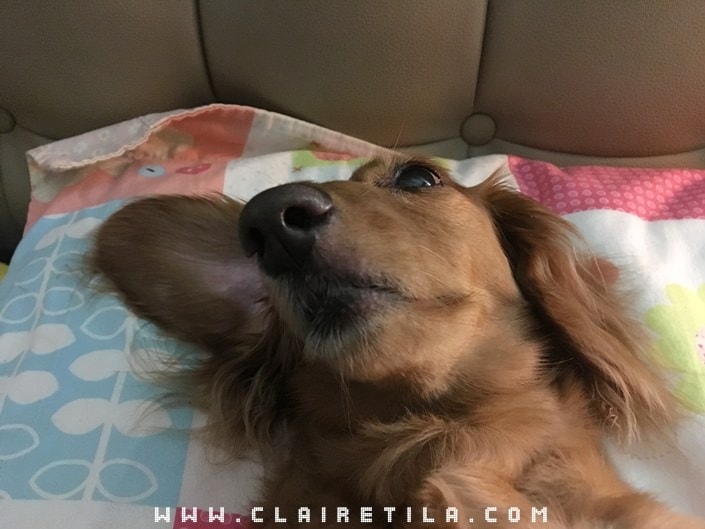 20251024-6fanz 20251024-6fanz