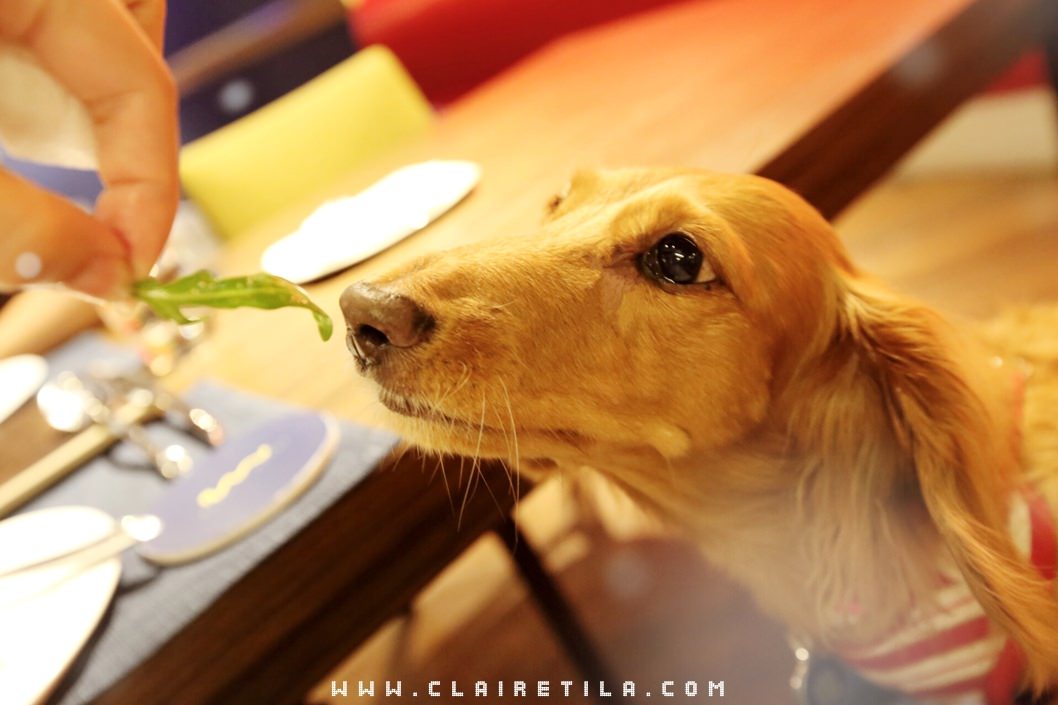 20251024-6jcs5 20251024-6jcs5