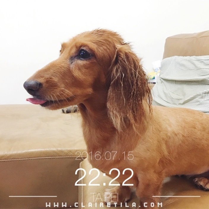 20251024-6umud 20251024-6umud