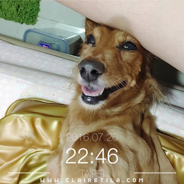 20251024-6vcdc 20251024-6vcdc