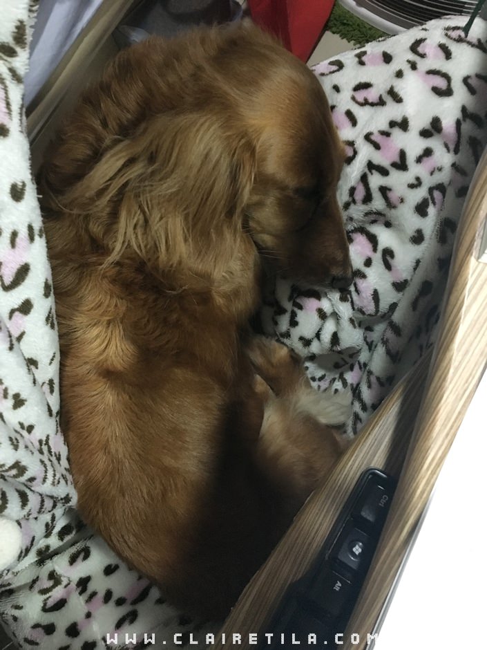 20251024-77q8y 20251024-77q8y