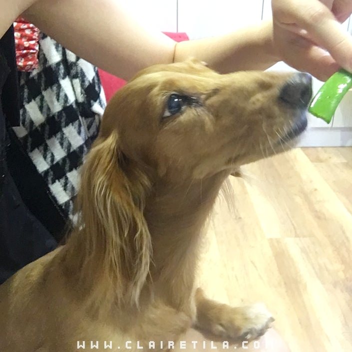 20251024-7fau7 20251024-7fau7