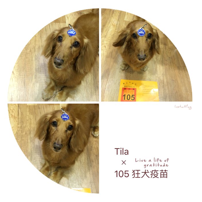 20251024-8i7e1 20251024-8i7e1