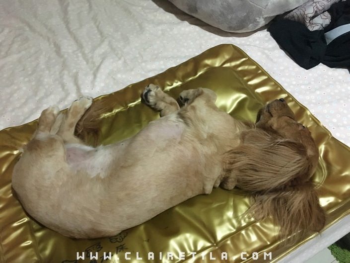 20251024-8k7u8 20251024-8k7u8