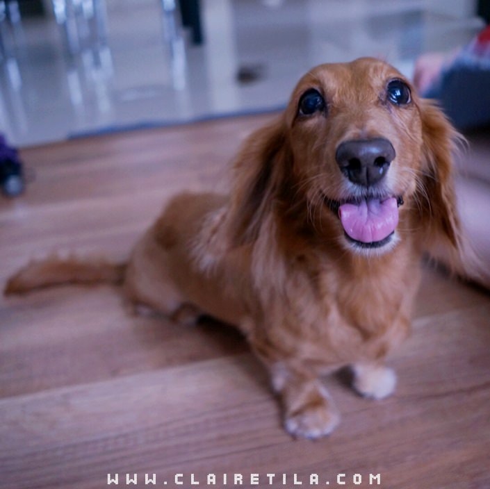 20251024-8z3z5 20251024-8z3z5