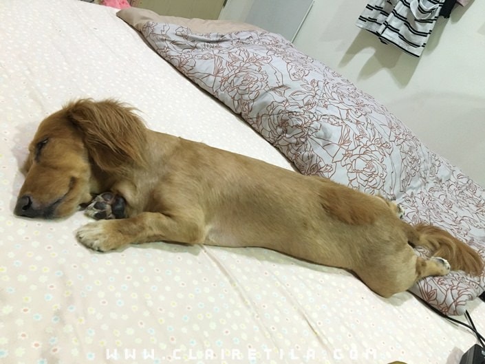 20251024-94z8q 20251024-94z8q