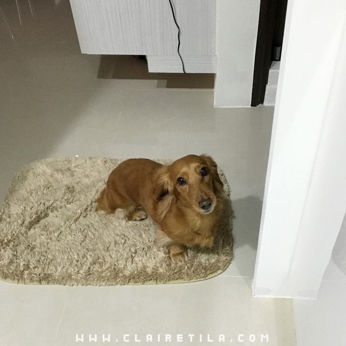 20251024-9b3t1 20251024-9b3t1