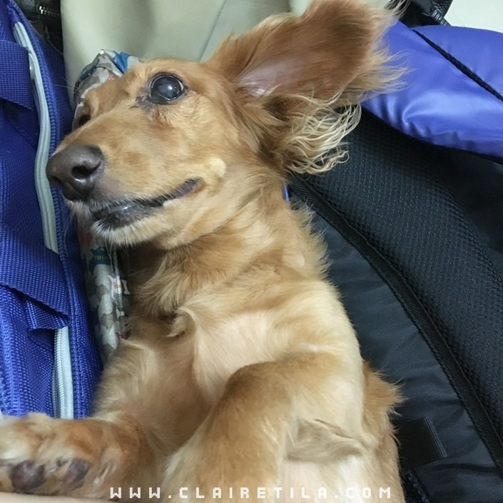 20251024-9drzm 20251024-9drzm