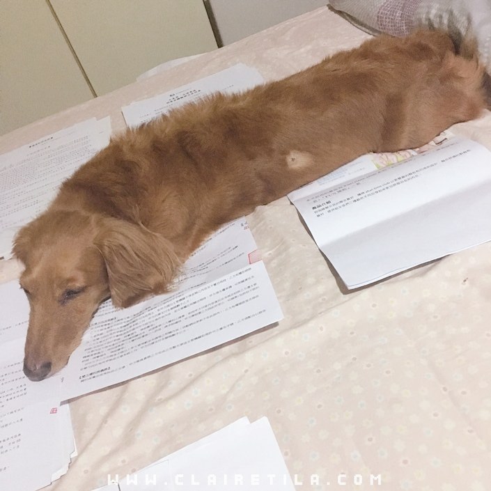 20251024-9pe8h 20251024-9pe8h