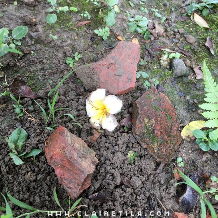 20251024-9pmp6 20251024-9pmp6