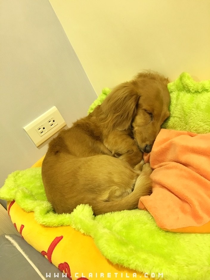 20251024-9qedb 20251024-9qedb