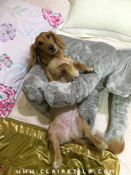 20251024-aeg7r 20251024-aeg7r