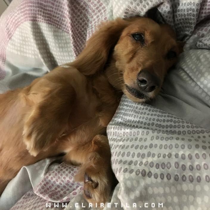 20251024-af5hq 20251024-af5hq