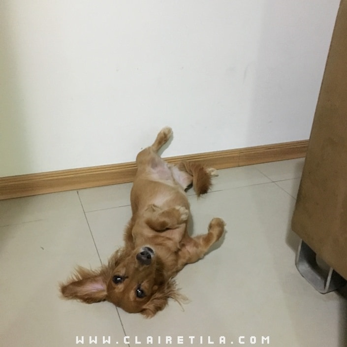 20251024-agotq 20251024-agotq