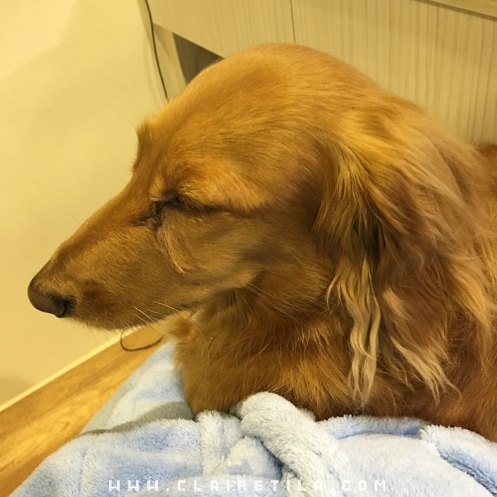 20251024-b1i64 20251024-b1i64