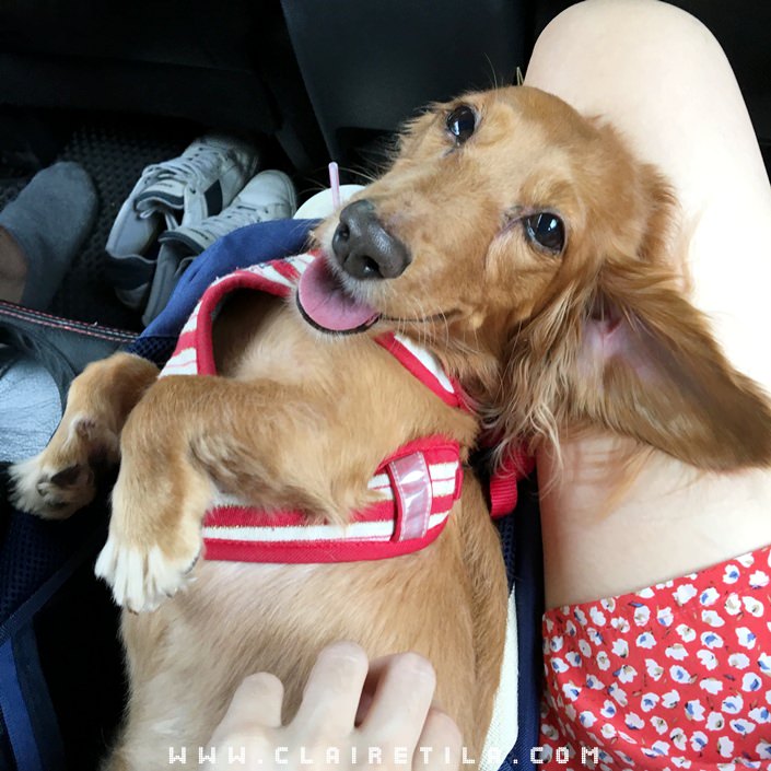 20251024-b2m6q 20251024-b2m6q