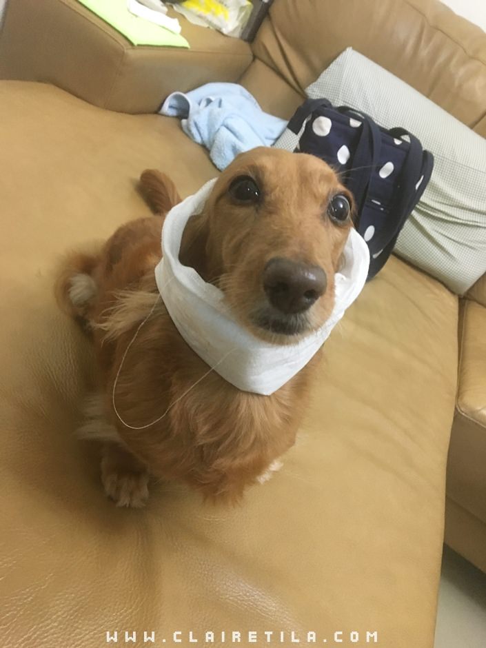 20251024-bo1jz 20251024-bo1jz