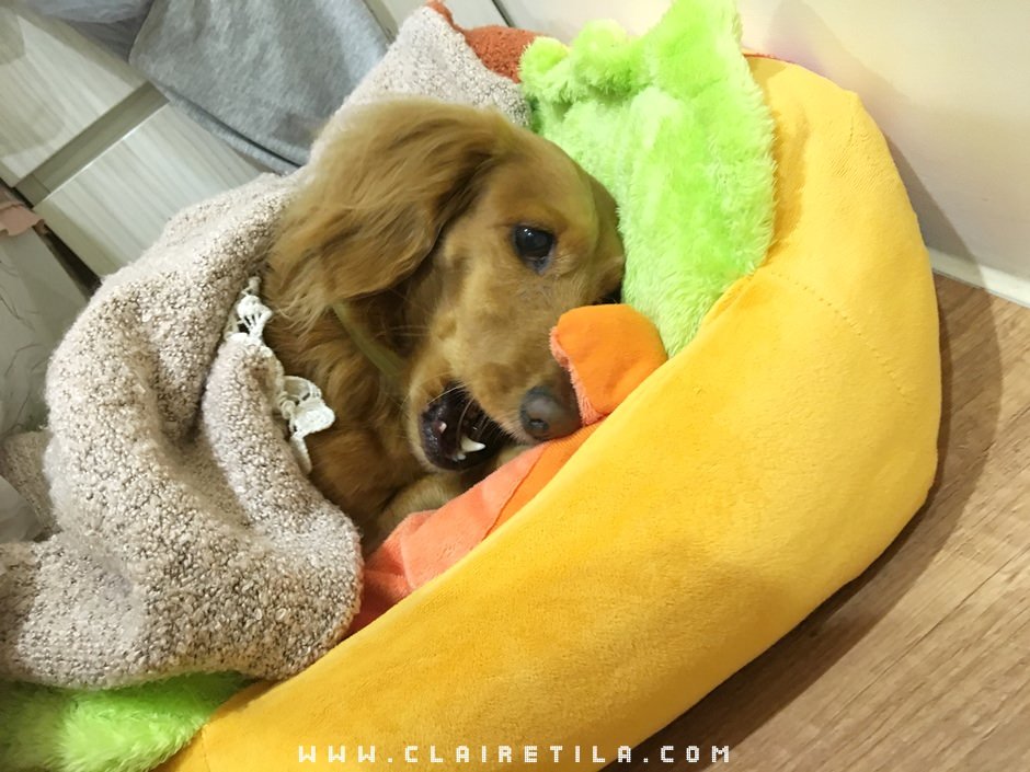 20251024-btsgn 20251024-btsgn