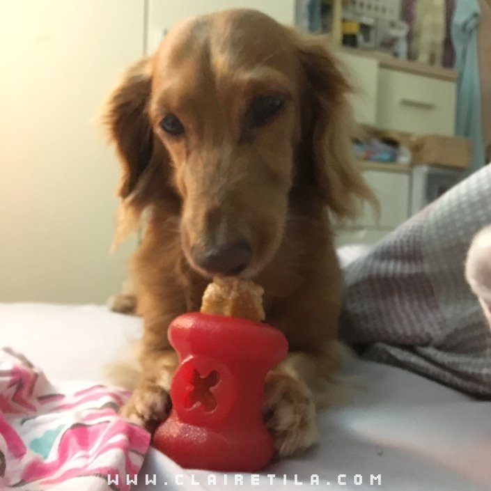 20251024-c1nd2 20251024-c1nd2