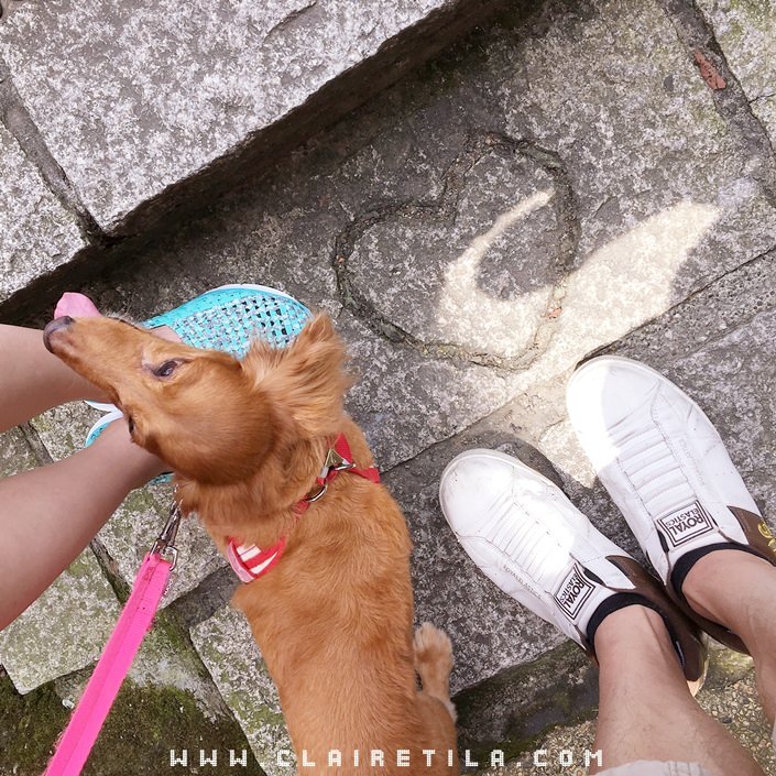 20251024-c5utr 20251024-c5utr