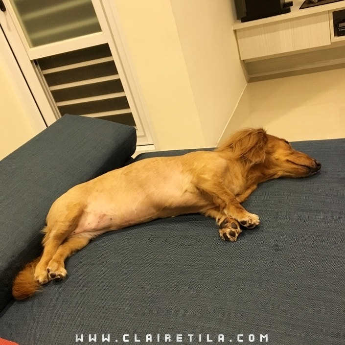 20251024-c8m5i 20251024-c8m5i