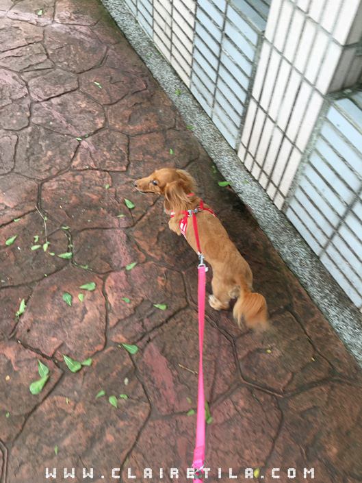 20251024-cip4e 20251024-cip4e