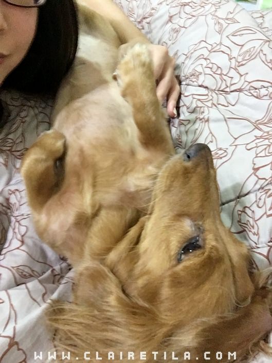 20251024-crmt6 20251024-crmt6