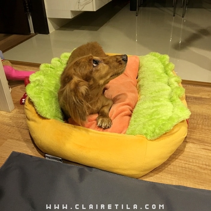 20251024-d1ch0 20251024-d1ch0