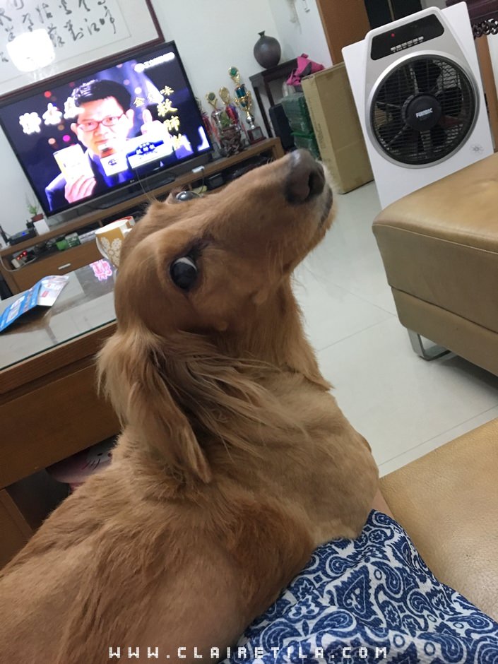 20251024-d3kqn 20251024-d3kqn