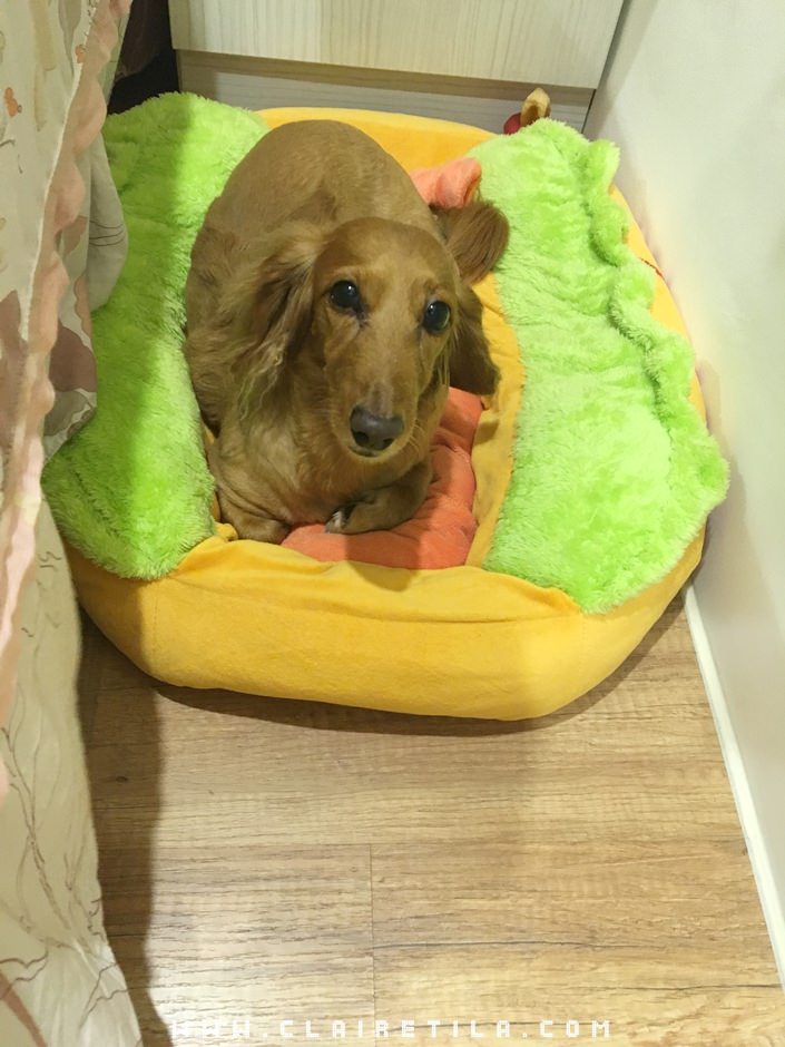 20251024-dap6v 20251024-dap6v