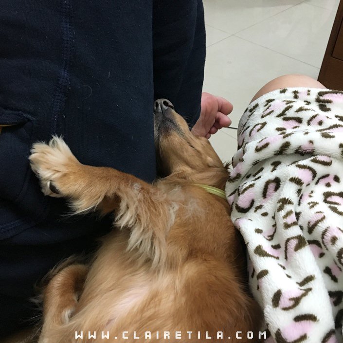 20251024-dmjk4 20251024-dmjk4